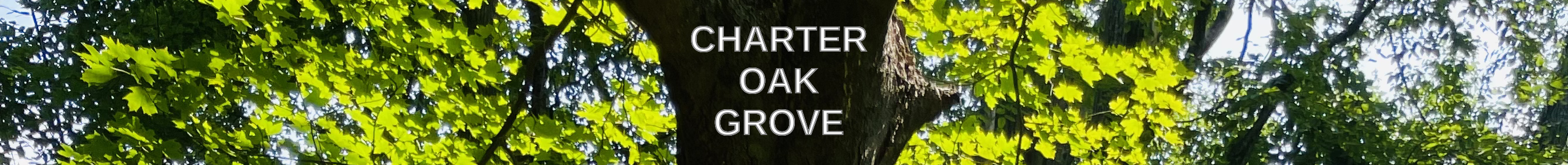 Charter Oak Grove